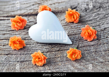 White heart and seven blossoms Stock Photo