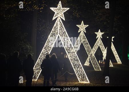 Dresden, Germany. 14th Nov, 2019. Visitors walk through a light installation in Dresden's Pillnitz Palace and Park. The lighting is part of the light spectacle 'Christmas Garden'. One million lights and 20 installations illuminate the 28-hectare complex from the 18th century to 5 January 2020. Credit: Sebastian Kahnert/dpa-Zentralbild/ZB/dpa/Alamy Live News Stock Photo