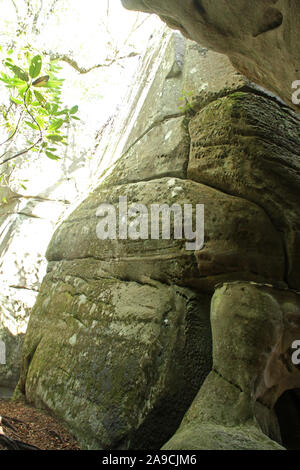 The Channels Natural Area Preserve in Virginia, USA Stock Photo