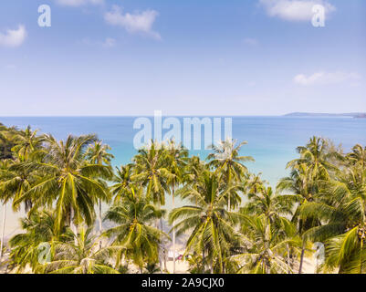 Tropical landscape with palm trees on the beach and blue sea, aerial view from drone of exotic bay, paradise summer vacation holidays destination, bea