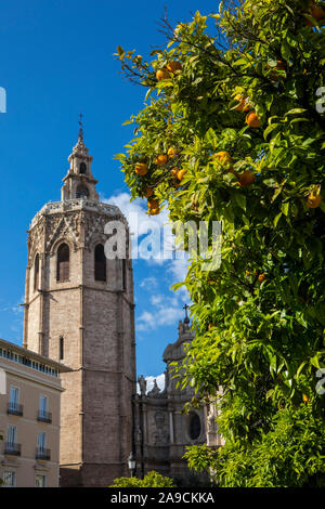 A beautiful view of the orange trees and Torre del Micalet, also known as El Miguelete, the bell tower of Valencia Cathedral, pictured in the backgrou Stock Photo