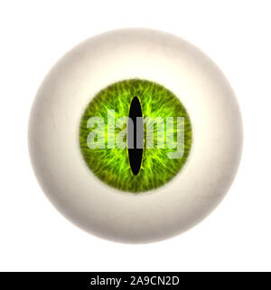 An illustration of a nice green cat eye texture Stock Photo