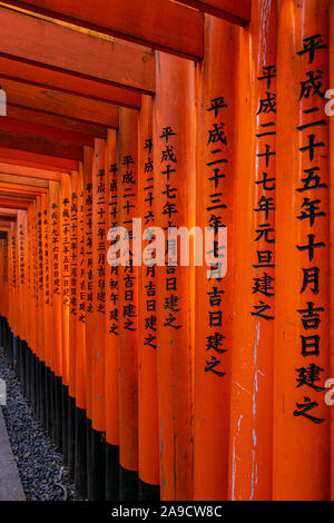 Iconic Thousand torii in Fushimi Inari-taisha shrine, Kyoto, Japan Stock Photo