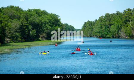 Recreational kayak and canoe boaters on the Au Sable River in the Pinery Provincial Park near Goderich Ontario Canada Stock Photo