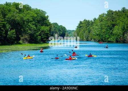Recreational kayak and canoe boaters on the Au Sable River in the Pinery Provincial Park near Goderich Ontario Canada Stock Photo