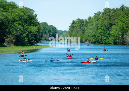 Recreational kayak and canoe boaters on the Au Sable River in the Pinery Provincial Park near Goderich Ontario Canada Stock Photo