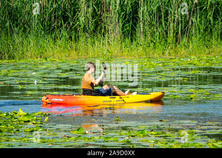 Recreational kayak and canoe boaters on the Au Sable River in the Pinery Provincial Park near Goderich Ontario Canada Stock Photo