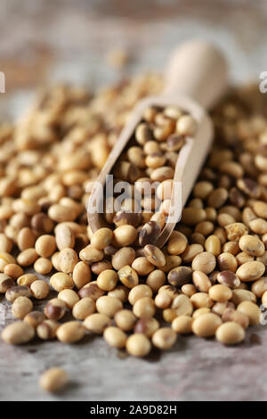 Soybeans in a wooden spatula. Selective focus. Macro. Stock Photo