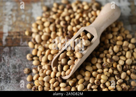 Soybeans in a wooden spatula. Selective focus. Macro. Stock Photo