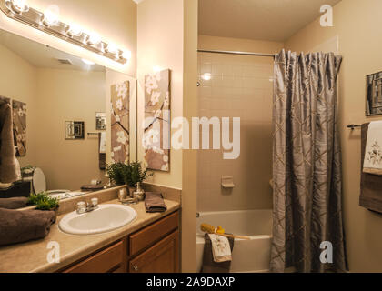 A bathroom sink and bathtub are pictured at Cypress Cove Apartment Homes in Mobile, Alabama. The apartment complex is owned and operated by Sealy. Stock Photo