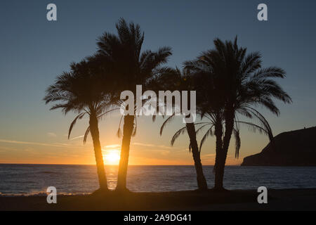 The setting sun touches the sea behind some palm trees on La Herradura Beach, Andalusia, Spain. Stock Photo