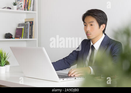 Asian Businessman In front of Laptop Monitor and Tree Foreground. Asian businessman working in office Stock Photo