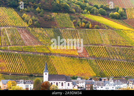 Vineyards at Kesten in autumn Stock Photo