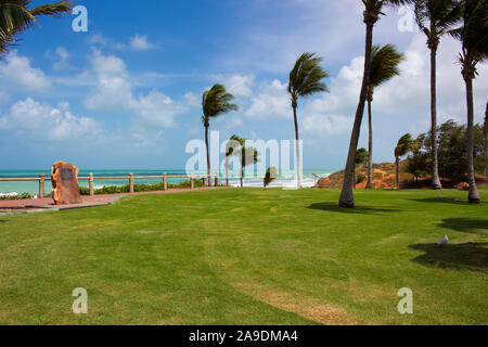 Tropical coconut palms swaying in the wind on a hot sunny morning in the Summer Wet Season on the landscaped area Cable Beach, Broome, West Australia. Stock Photo