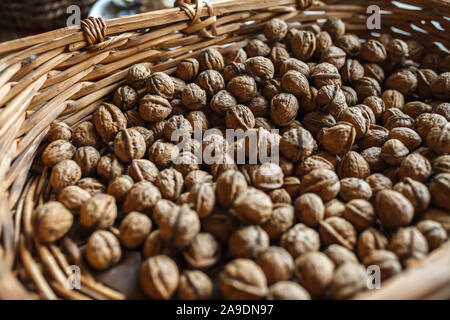 Fresh walnuts lying in a basket to dry Stock Photo