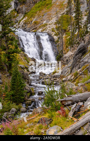 USA, Wyoming, Yellowstone National Park, Old Faithful, Upper Geyser Basin, Biscuit Basin, Mystic Falls Stock Photo