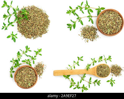 Set or collection dried thyme leaves with fresh thyme isolated on white background Stock Photo