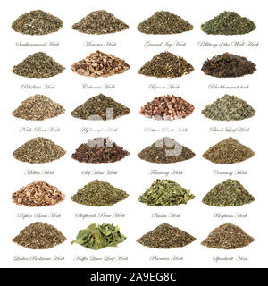 Large herb selection used in alternative herbal medicine in piles isolated on white background with titles. Stock Photo