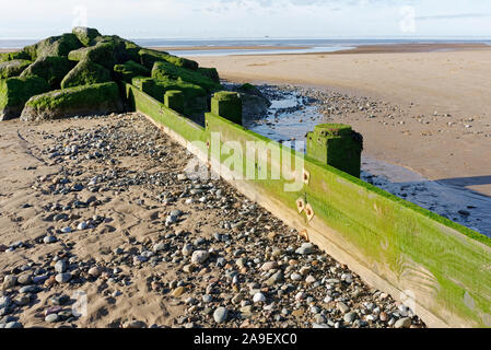 Wooden groyne with algal growth and rock groyne extension on rossall beach cleveleys on the fylde coast in lancashire uk Stock Photo