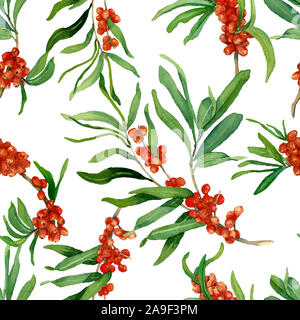 Watercolor pattern of sea buckthorn branches with berries on white background. Hand-drawn watercolor illustration. Design for covers, backgrounds Stock Photo