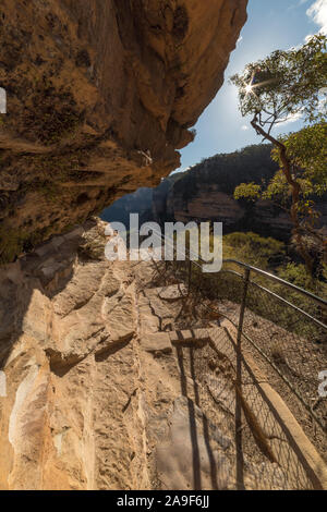 Track along the cliff edge in Blue Mountains National Park, Australia Stock Photo