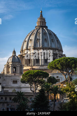 Dome of  St. Peter's Basilica during sunny weather. Green trees, blue sky and Sain Peter's Basilica in Vatican. Stock Photo