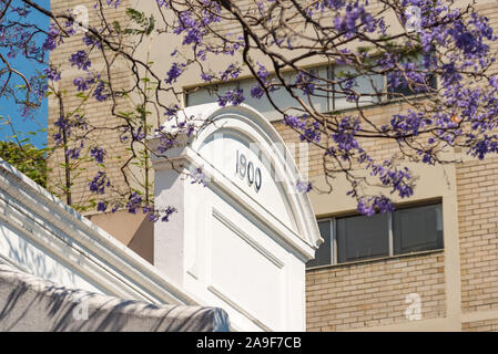 Art Deco building with Jacaranda tree branches on foreground. Urban architecture and flowers Stock Photo