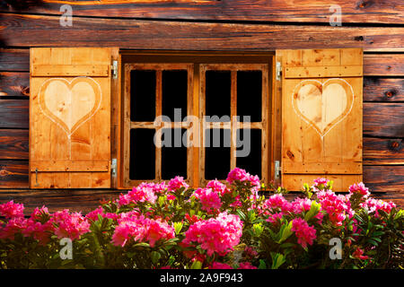 Flower window on the pasture Stock Photo