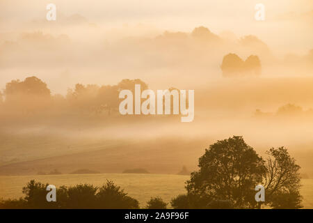 Misty sunrise in South Downs National Park, West Sussex, England. Stock Photo