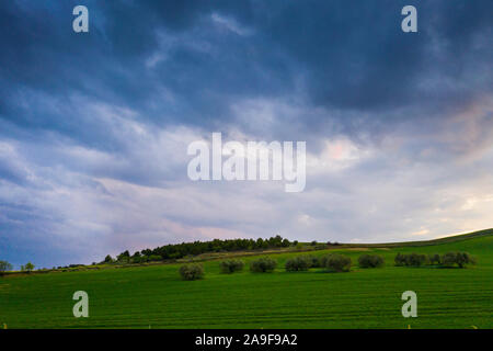 Agricultural  landscape. Stock Photo