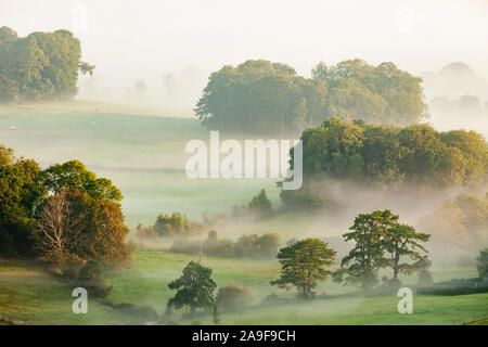 Misty sunrise in South Downs National Park, West Sussex, England. Stock Photo