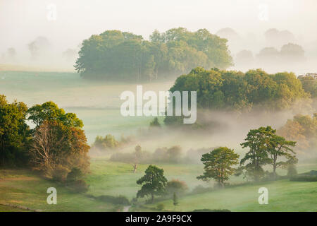 Misty summer sunrise in South Downs National Park, West Sussex, England. Stock Photo