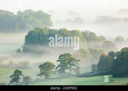 Misty sunrise in South Downs National Park, West Sussex, England. Stock Photo