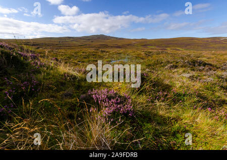 Landscape on the A'Mhoine Peninsula Sutherland Scotland UK Stock Photo