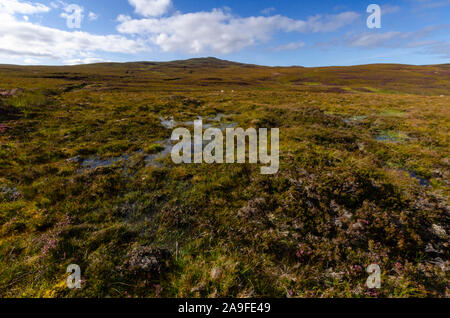 Landscape on the A'Mhoine Peninsula Sutherland Scotland UK Stock Photo