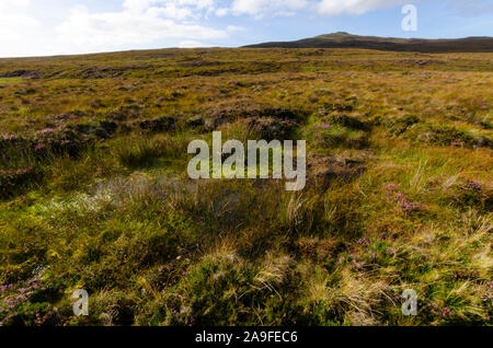 Landscape on the A'Mhoine Peninsula Sutherland Scotland UK Stock Photo