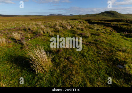 Landscape on the A'Mhoine Peninsula Sutherland Scotland UK Stock Photo