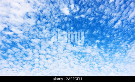 Panorama of the blue sky with lots small white fleecy clouds - texture and background Stock Photo
