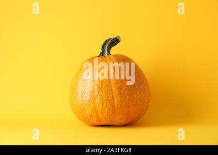 Pumpkin on yellow background, space for text Stock Photo