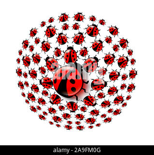 Ball of ladybugs Stock Photo