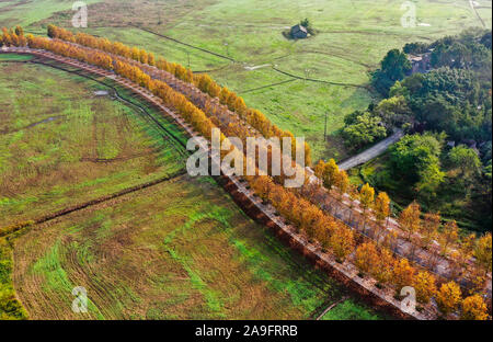 (191115) -- CHONGQING, Nov. 15, 2019 (Xinhua) -- Aerial photo taken on Nov. 15, 2019 shows the early winter scenery of the Guangyang Isle in southwest China's Chongqing Municipality. (Xinhua/Wang Quanchao) Stock Photo