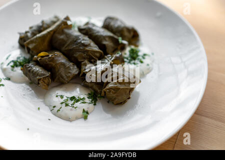 Traditional stuffed vine leaves on a large white plate with sauce. dolma Stock Photo