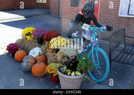 Store front decor, with Darth Vader on a bicycle and fall decorations Stock Photo