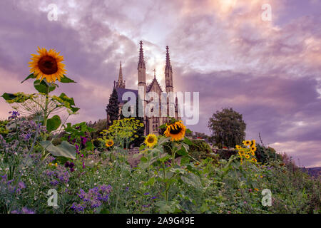 Apollinaris church with insects flower meadow in Remagen Pilgrimage and culture on the Rhine Germany Stock Photo