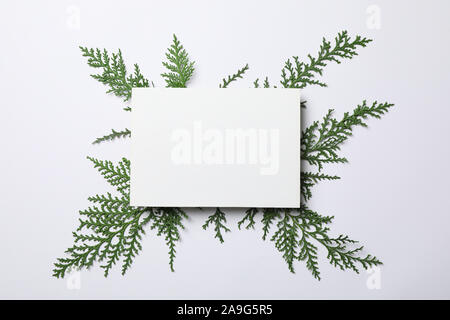 Thuja branches and empty space on white background, top view Stock Photo