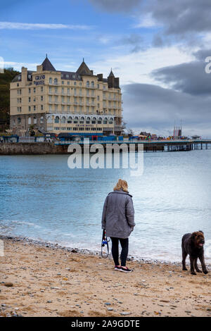 Mature lady walking her black Labradoodle dog along the beach at Llandudno overlooking The Grand Hotel Stock Photo