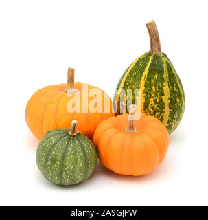 Green ornamental gourds and orange Jack Be Little mini pumpkins, on a white background Stock Photo