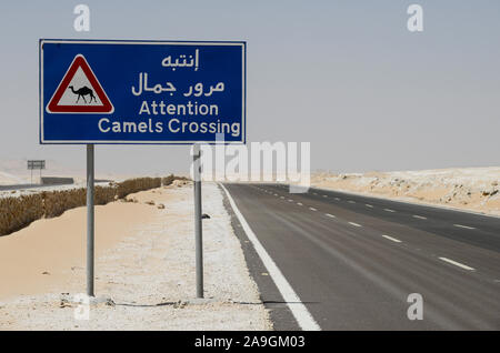 EGYPT, Farafra, Nationalpark White Desert , landscape shaped by wind and sand erosion, tamarc road to Cairo Stock Photo