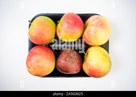 verdorbener Apfel in einer Apfeltasse - more spoiled apple Stock Photo