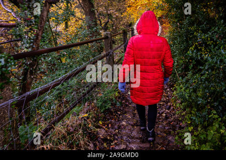 A young women walking towards, across and old wooden bridge in the UK countryside on a cold winters day, hiking a local mountain route, Stock Photo